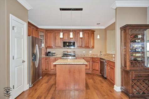 8638 Saddlebred Court Frankfort IL 60423