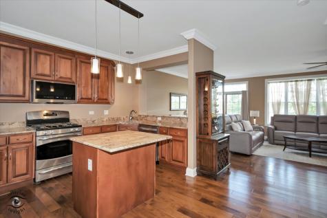 8638 Saddlebred Court Frankfort IL 60423