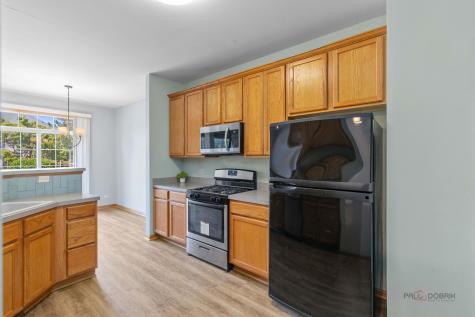 378 Bay Tree Circle Vernon Hills IL 60061
