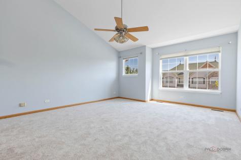 378 Bay Tree Circle Vernon Hills IL 60061