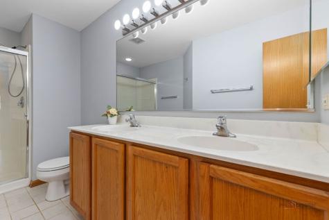 378 Bay Tree Circle Vernon Hills IL 60061