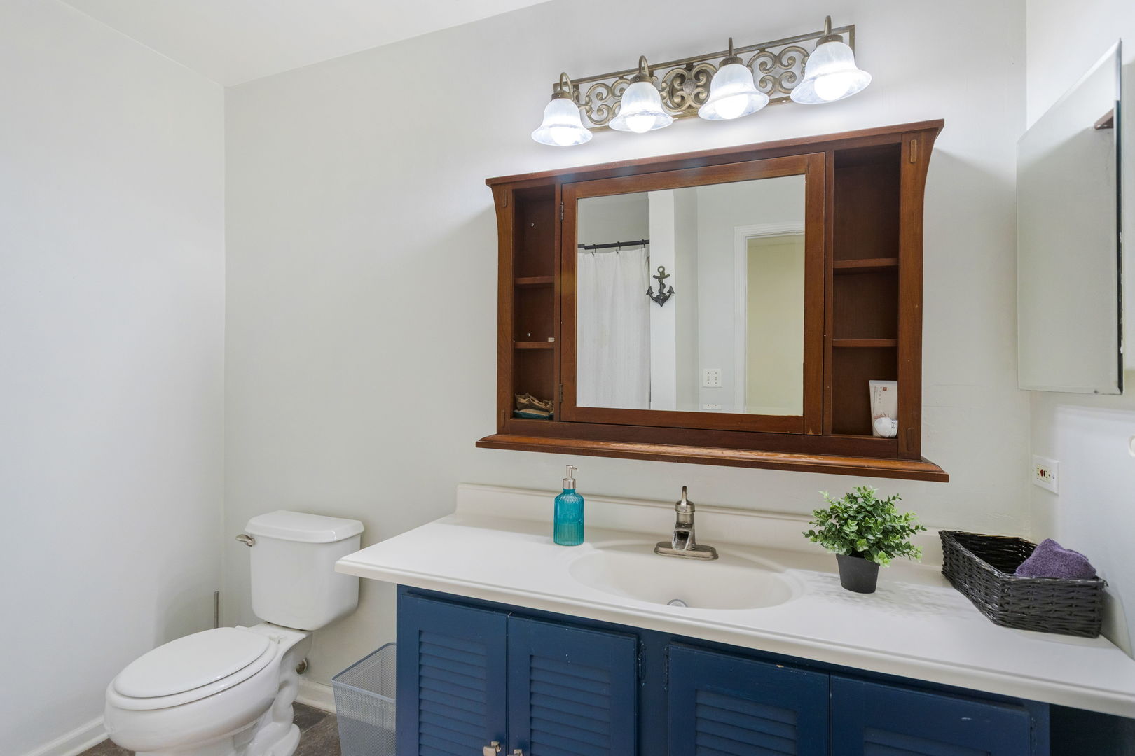 53 Braxton Lane Aurora IL 60504