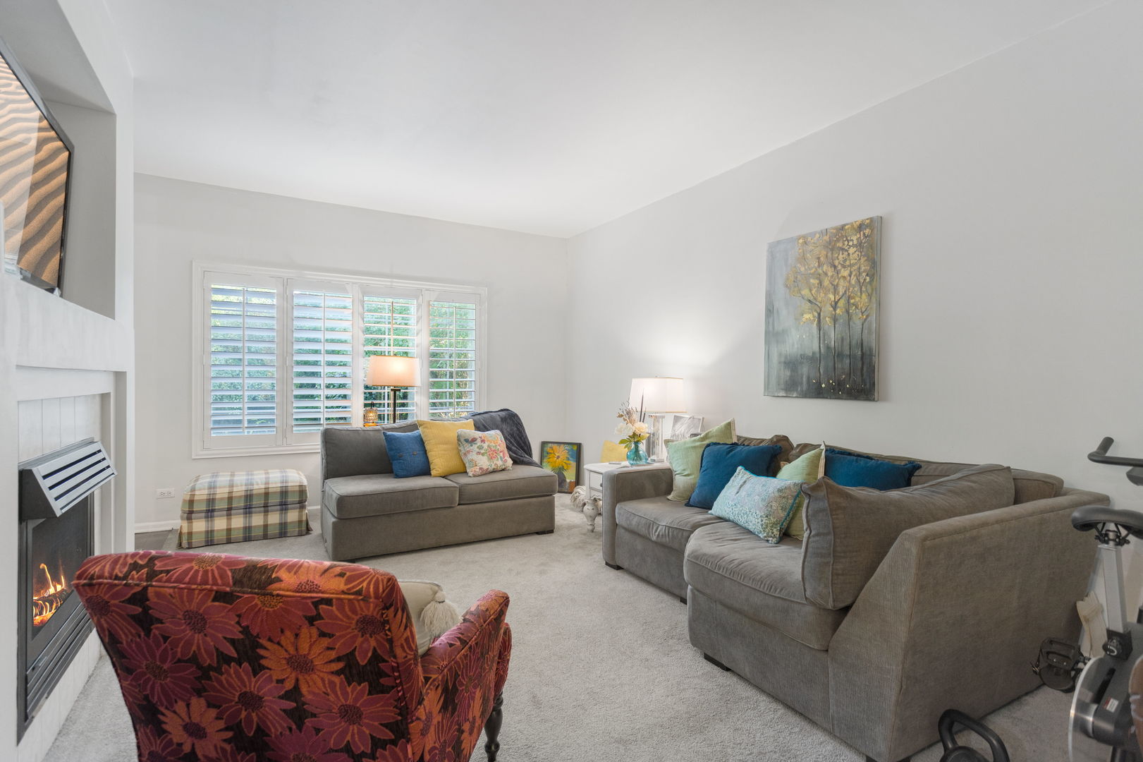 53 Braxton Lane Aurora IL 60504