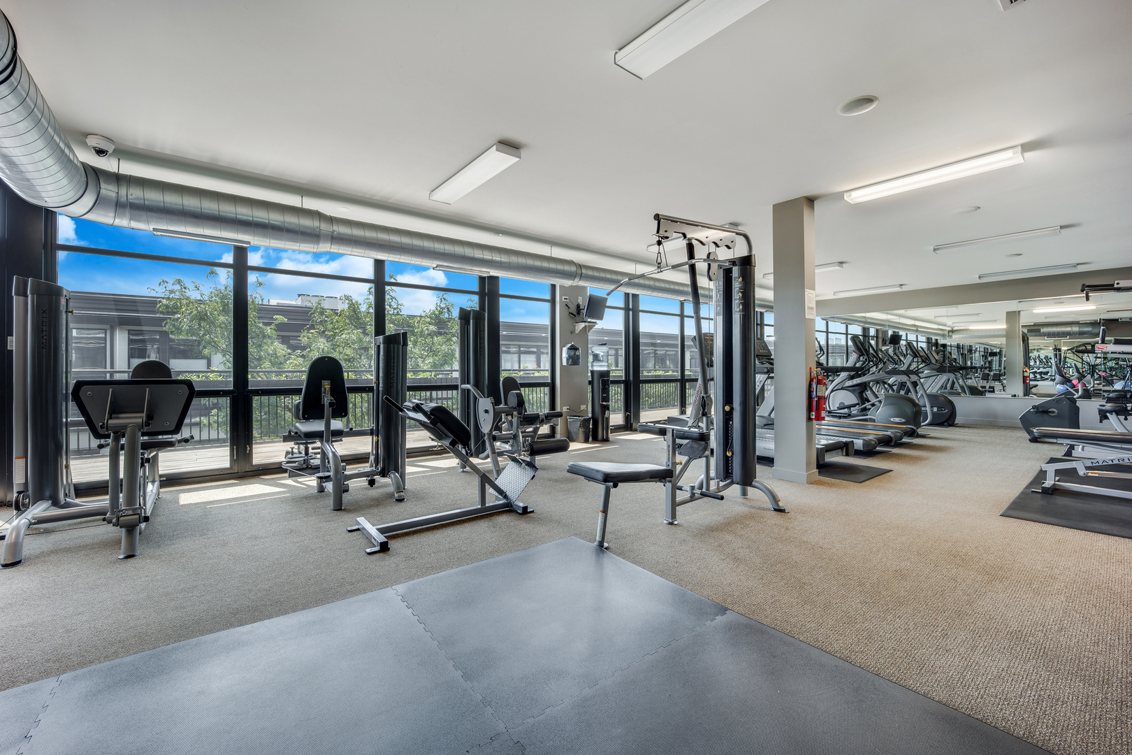 1151 West 14th Place Chicago IL 60608