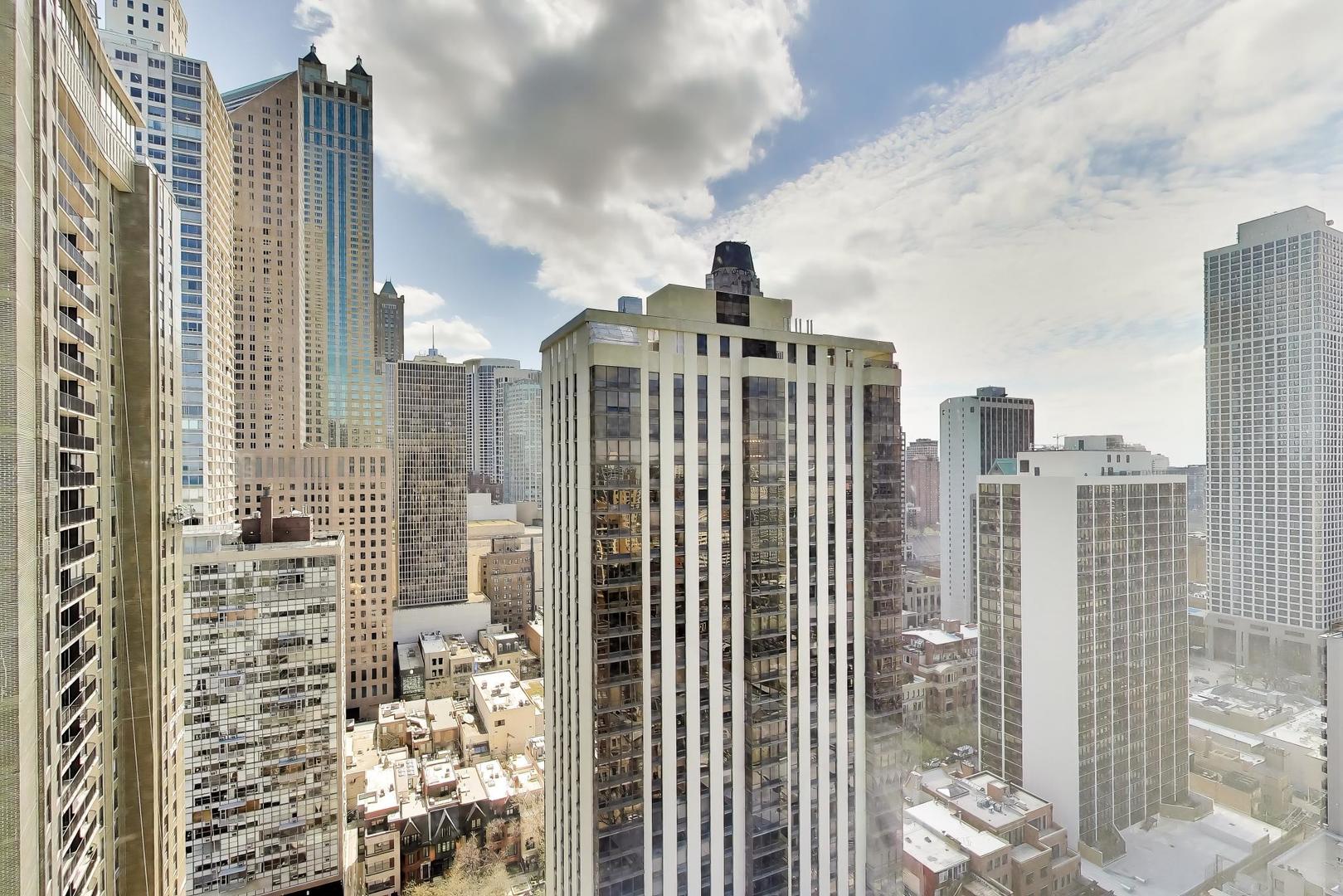 1100 North Lake Shore Drive Chicago IL 60611