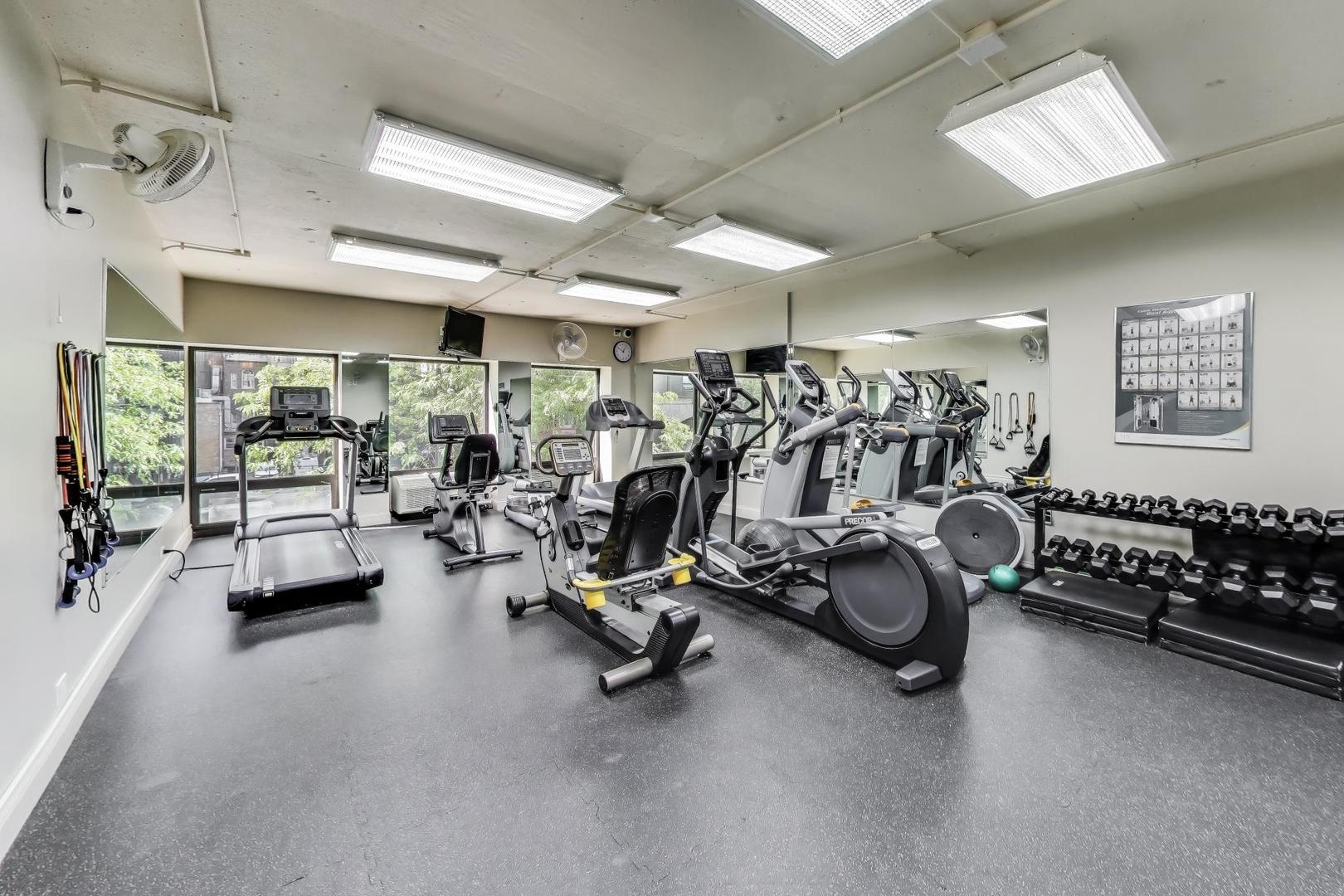 1100 North Lake Shore Drive Chicago IL 60611