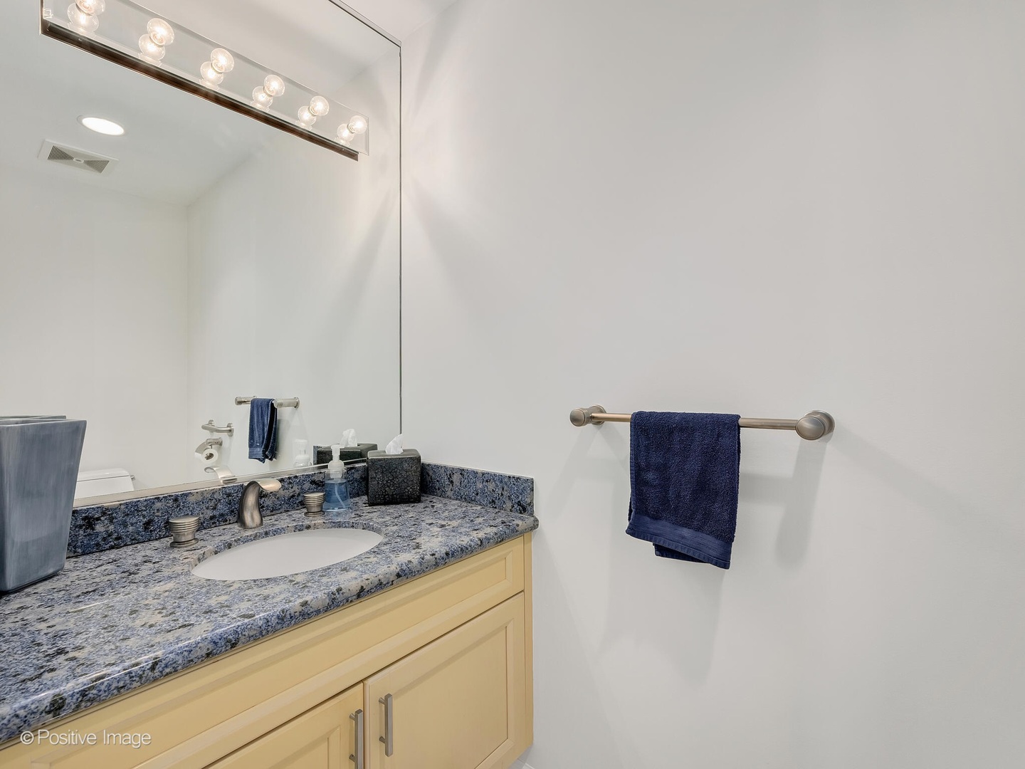 1409 Burr Oak Road Hinsdale IL 60521
