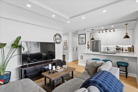 1355 North Sandburg Terrace Chicago IL 60610