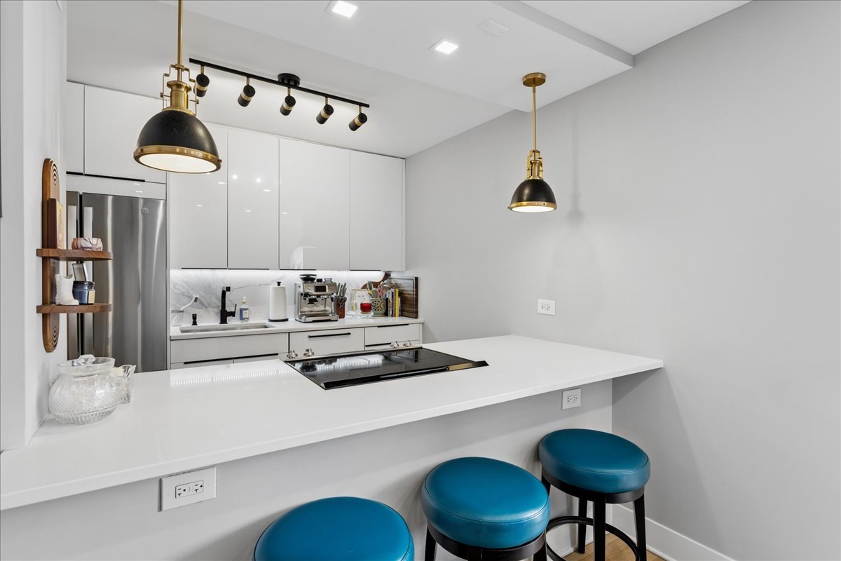 1355 North Sandburg Terrace Chicago IL 60610