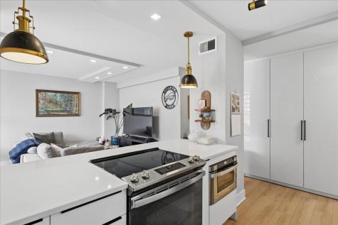 1355 North Sandburg Terrace Chicago IL 60610