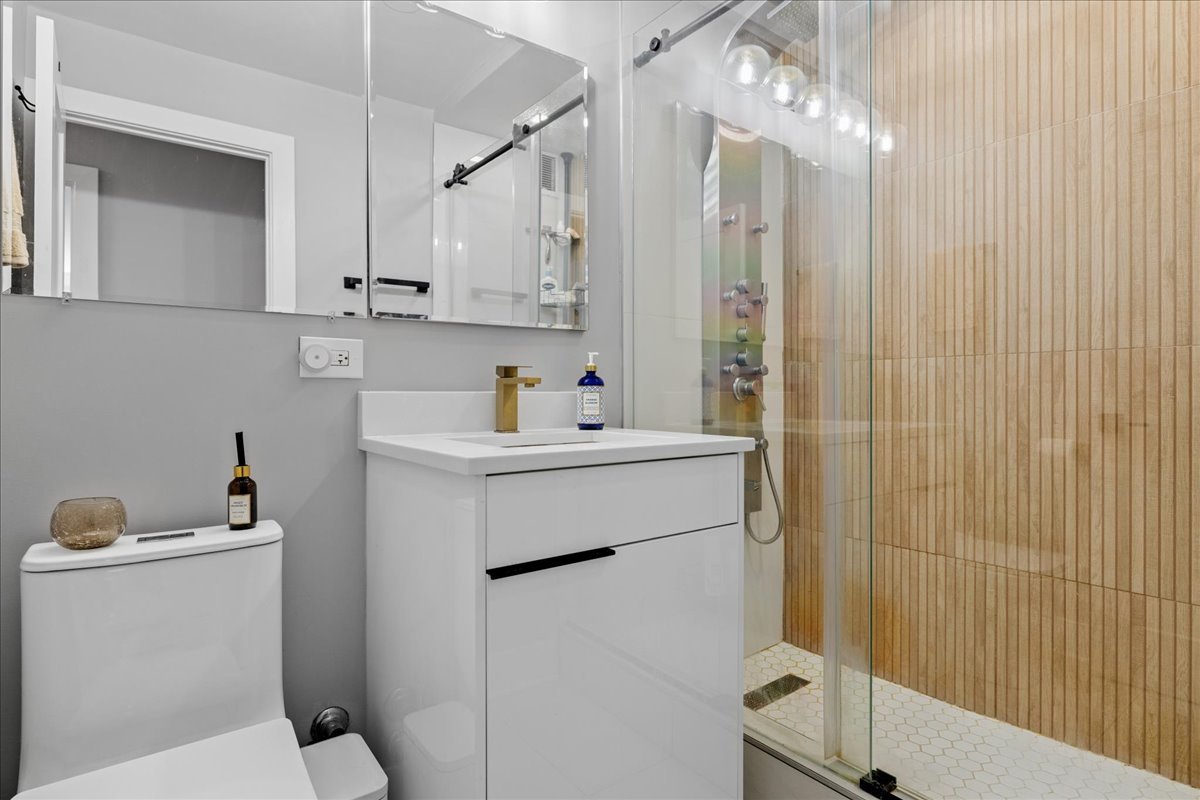 1355 North Sandburg Terrace Chicago IL 60610