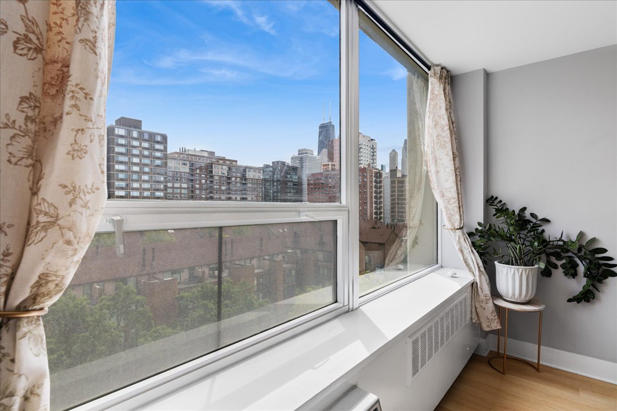 1355 North Sandburg Terrace Chicago IL 60610