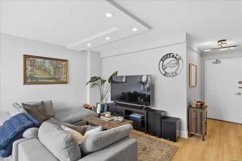 1355 North Sandburg Terrace Chicago IL 60610