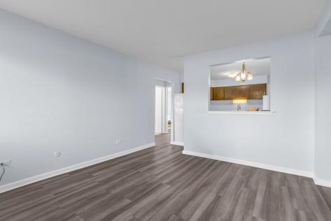 124 Boardwalk Street Elk Grove Village IL 60007