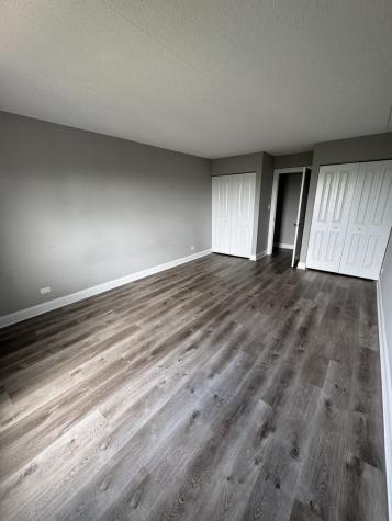 375 Plum Creek Drive Wheeling IL 60090
