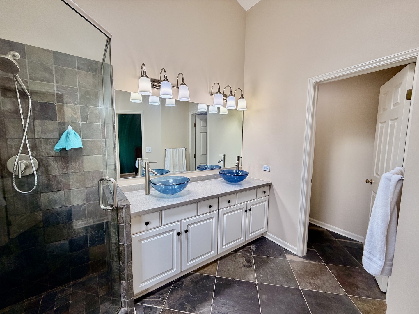 1535 Chatfield Court Roselle IL 60172