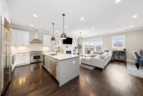 1042 West Altgeld Street Chicago IL 60614