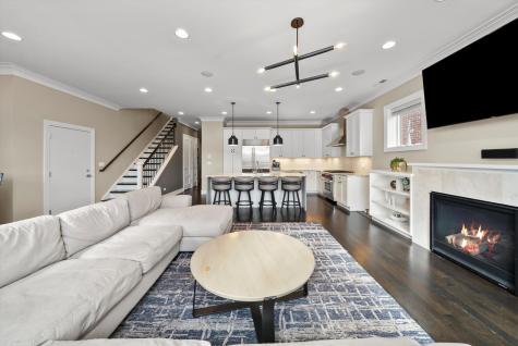 1042 West Altgeld Street Chicago IL 60614