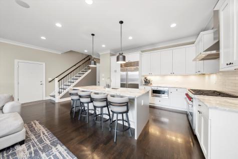 1042 West Altgeld Street Chicago IL 60614