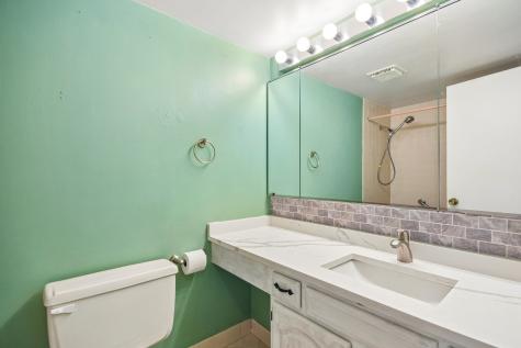176 East Springbrook Drive Bloomingdale IL 60108