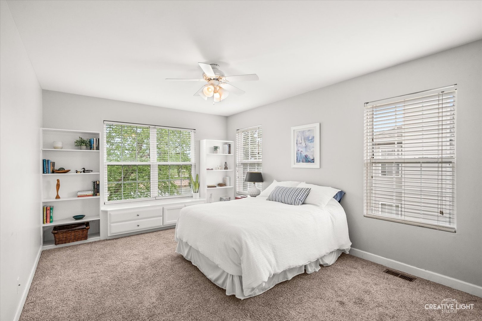24019 West Pear Tree Circle Plainfield IL 60585