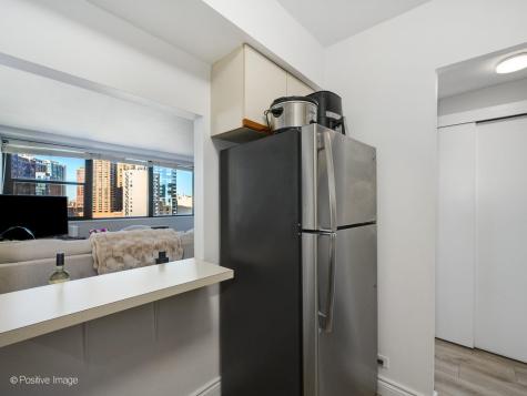 1150 North Lake Shore Drive Chicago IL 60611