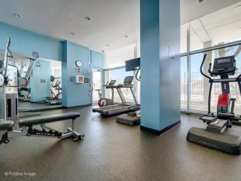 1150 North Lake Shore Drive Chicago IL 60611