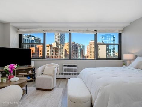 1150 North Lake Shore Drive Chicago IL 60611