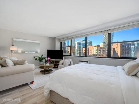 1150 North Lake Shore Drive Chicago IL 60611