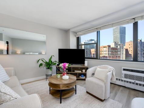 1150 North Lake Shore Drive Chicago IL 60611