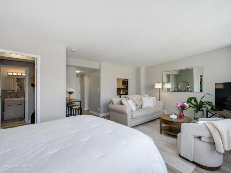 1150 North Lake Shore Drive Chicago IL 60611