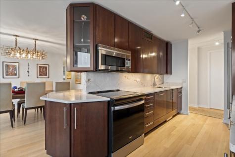 1560 North Sandburg Terrace Chicago IL 60610