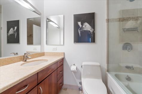 1560 North Sandburg Terrace Chicago IL 60610
