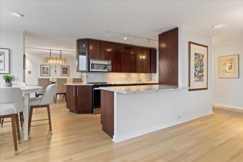 1560 North Sandburg Terrace Chicago IL 60610
