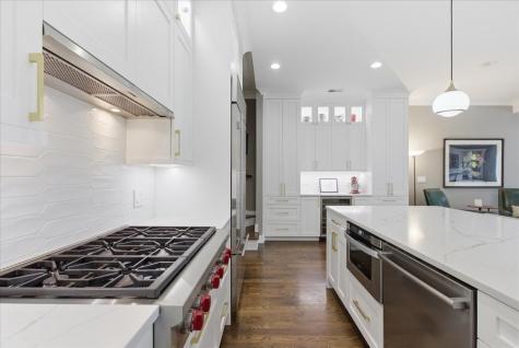 1321 West Wrightwood Avenue Chicago IL 60614