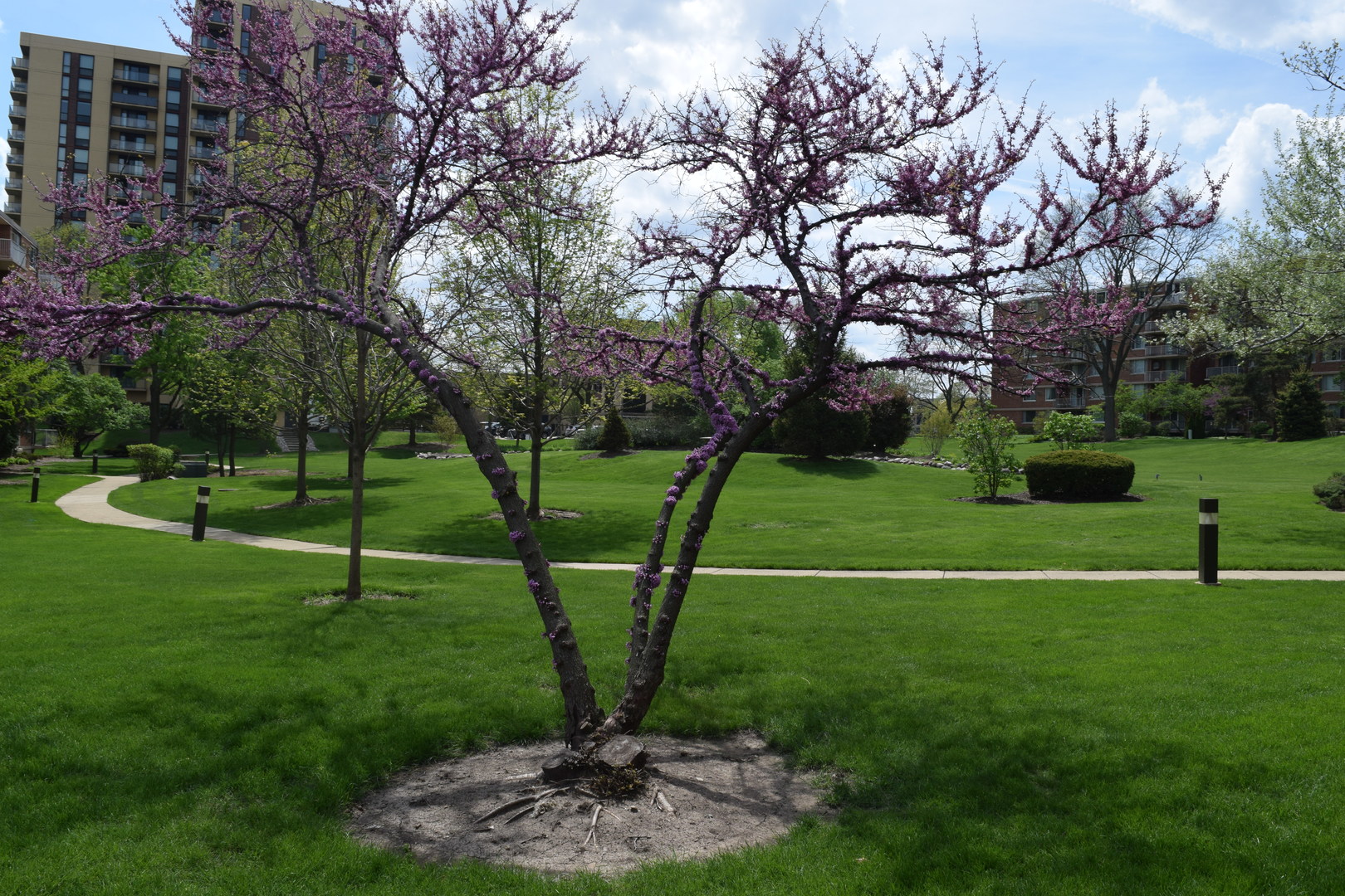 2200 South Stewart Avenue Lombard IL 60148