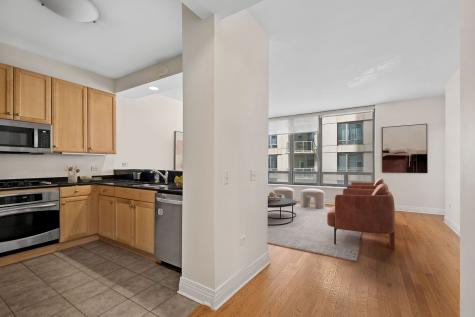 600 North Lake Shore Drive Chicago IL 60611