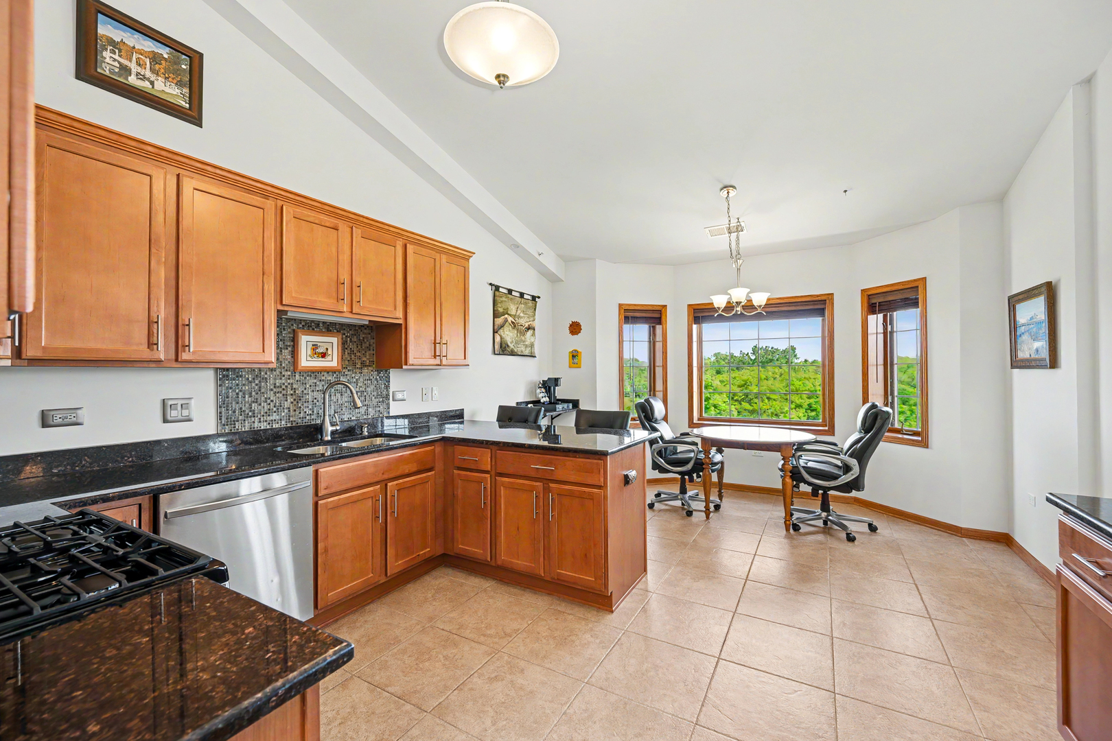 8505 Woodward Avenue Woodridge IL 60517