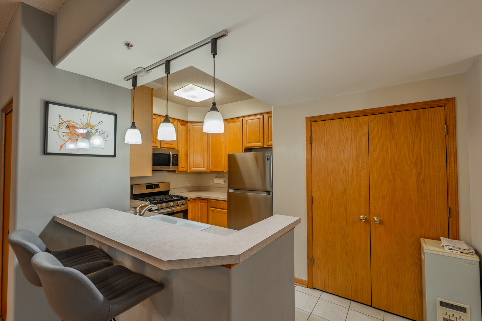 1745 Pavilion Way Park Ridge IL 60068