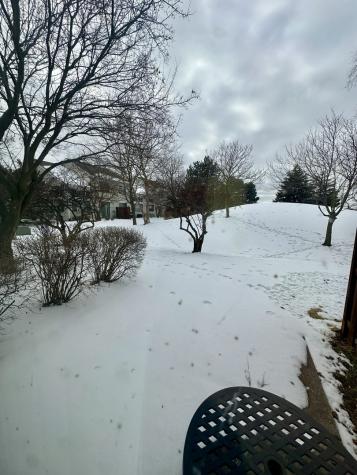2267 Briar Court Hoffman Estates IL 60169