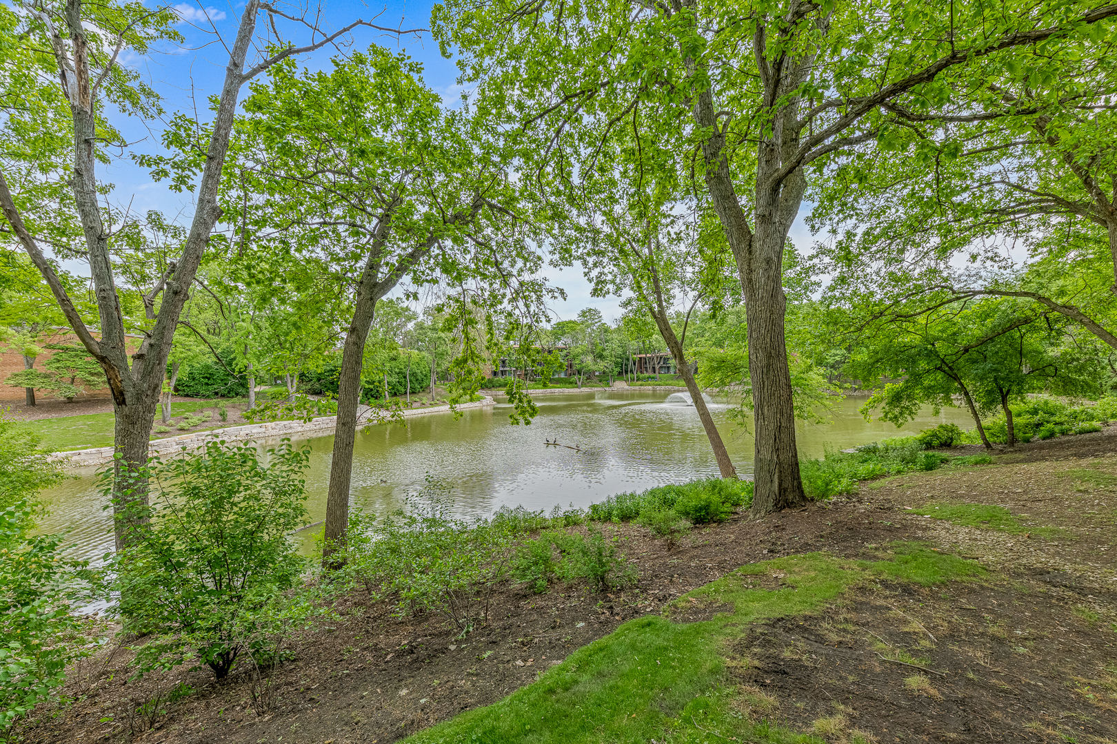 6015 Forest View Road Lisle IL 60532