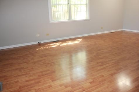 410 Ashwood Court Vernon Hills IL 60061