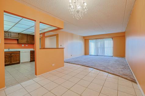 375 Plum Creek Drive Wheeling IL 60090
