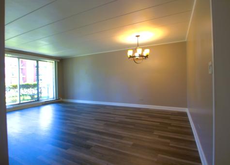 4755 West 101st Street Oak Lawn IL 60453