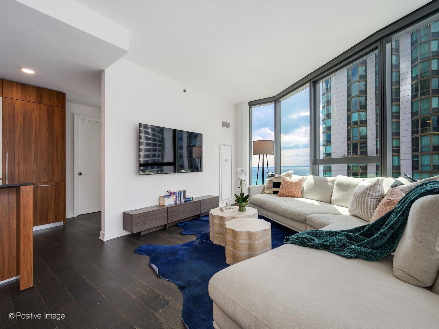 211 North Harbor Drive Chicago IL 60601