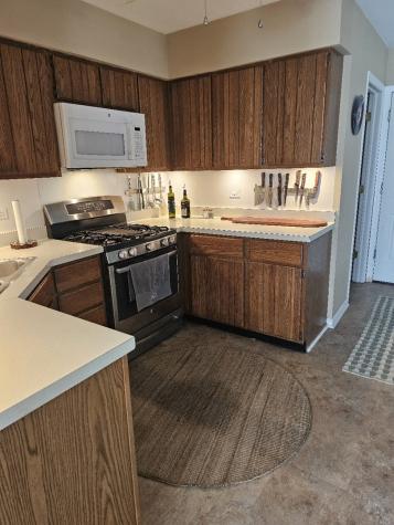 45 South Stonington Drive Palatine IL 60074
