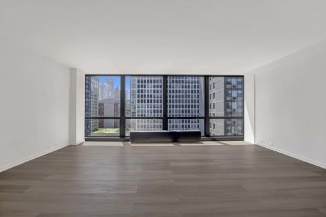 900 North Lake Shore Drive Chicago IL 60611
