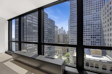 900 North Lake Shore Drive Chicago IL 60611