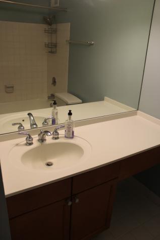 474 North Lake Shore Drive Chicago IL 60611