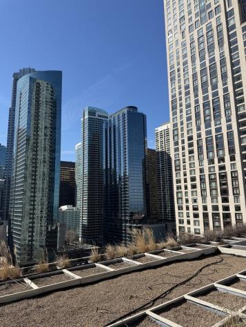 474 North Lake Shore Drive Chicago IL 60611